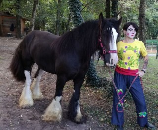 Clown e cavalli - immagine